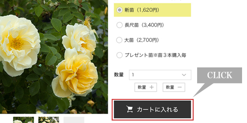 カートに入れる