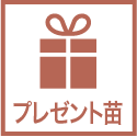 プレゼント苗