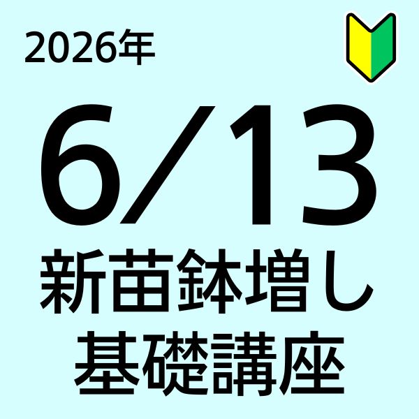 【初心者向け新苗鉢増し基礎講座】26年6月13日(土)10:30～