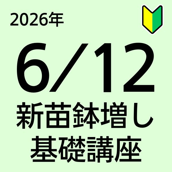 【初心者向け新苗鉢増し基礎講座】26年6月12日(金)10:30～