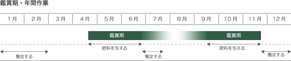 鑑賞期・年間作業