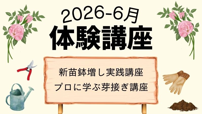 <em>参加者募集中！</em>6月の体験講座は、初心者さん向け新苗講座と、大人気の芽接ぎ講座です！<b>募集中</b>