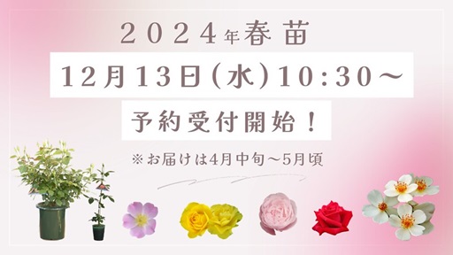 <em>【24年春苗】ご予約は12月13日(水)10時30分スタート！</em>いつもご利用誠にありがとうございます。 24年春苗のご予約開始日が決まりましたのでお知らせいたします!<b>お知らせ</b>