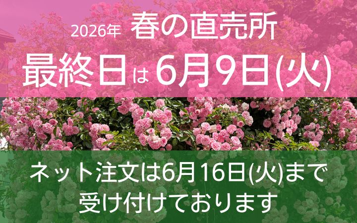 <em>2026年春の生産直売所</em>今期は6月9日が最終日です！この機会にぜひご利用ください♪<b>東久留米市の生産直売所</b>