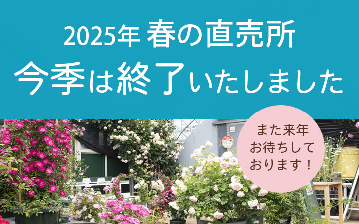 <em>2025年のバラ苗の販売は終了いたしました！</em>ご来店誠にありがとうございました！当園は「気候の良い春に、元気で旬な苗をお客様にお届けしたい」というこだわりのもと、春苗のみの販売です。次回は2026年の春を予定しています。<b>東久留米市の生産直売所</b>