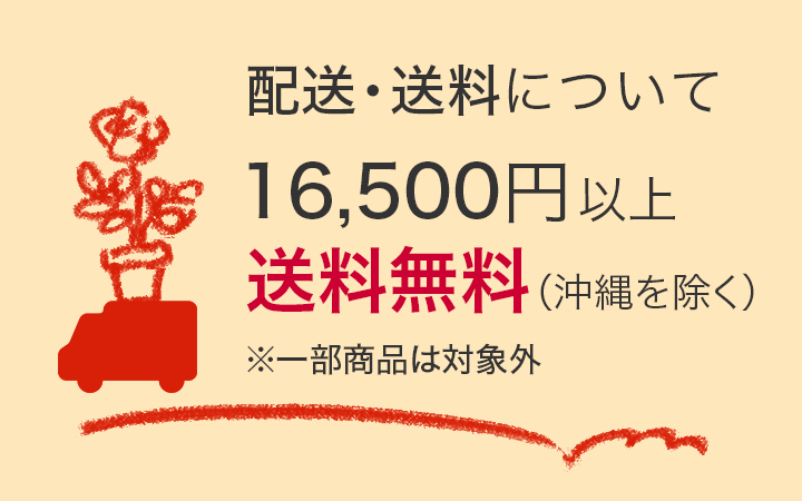 <em>春苗の梱包送料・決済手数料・お届け目安はこちらから</em>税込16,500円以上のお買いもので送料無料(一部地域を除く)<b>お知らせ</b>