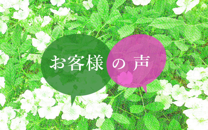 <em>なぜ篠宮バラ園で購入されましたか？</em>ご注文いただいたお客様にお伺いしました。<b>特集</b>