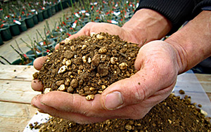 <em>オリジナル培養土１８L「Rose Soil」</em>良質な赤玉土、赤土を主原料とし、水はけと水持ちという相反する条件を高次元でバランスさせるため、40年のノウハウを凝縮しております。<b>お買いもの</b>